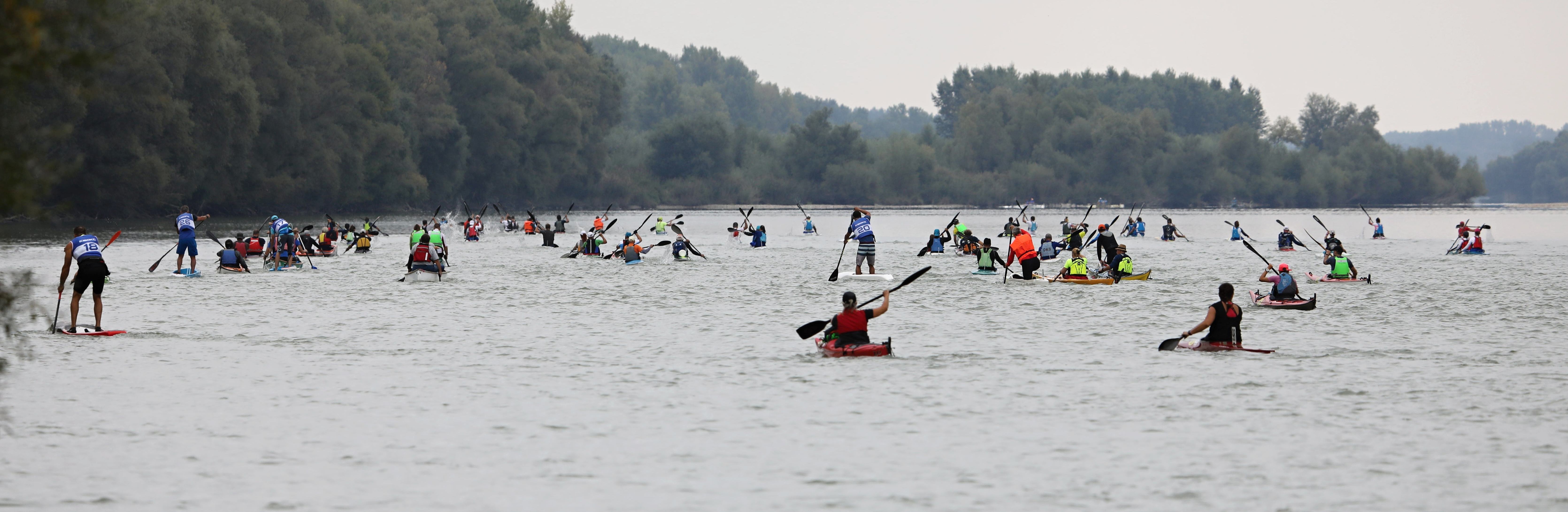 Dunajský vodácky maratón má za sebou veľmi úspešný 31. ročník 