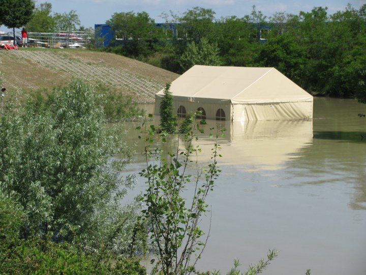 27979_1392945195967_1503110_n