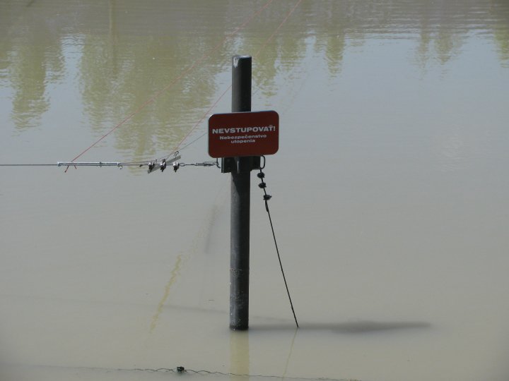 27979_1392945475974_835807_n