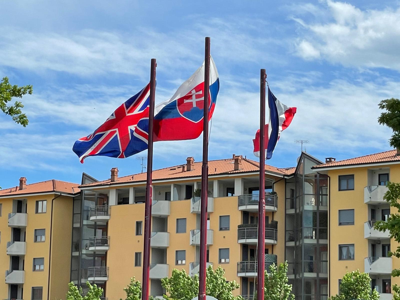 WhatsApp Image 2021-05-07 at 17-49-50